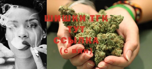 ешки Липки